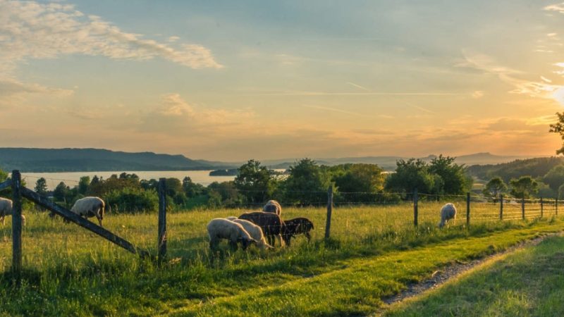 Banner_Universidad_en_el_Campo