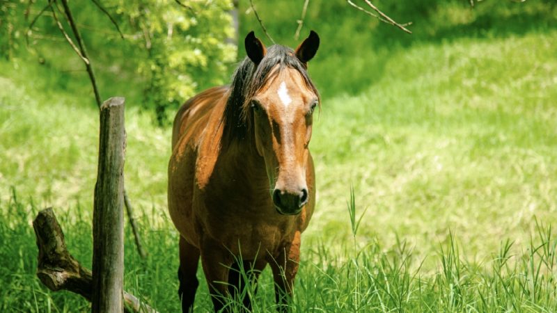 LACRUZMesa de trabajo 3 copia 18-100