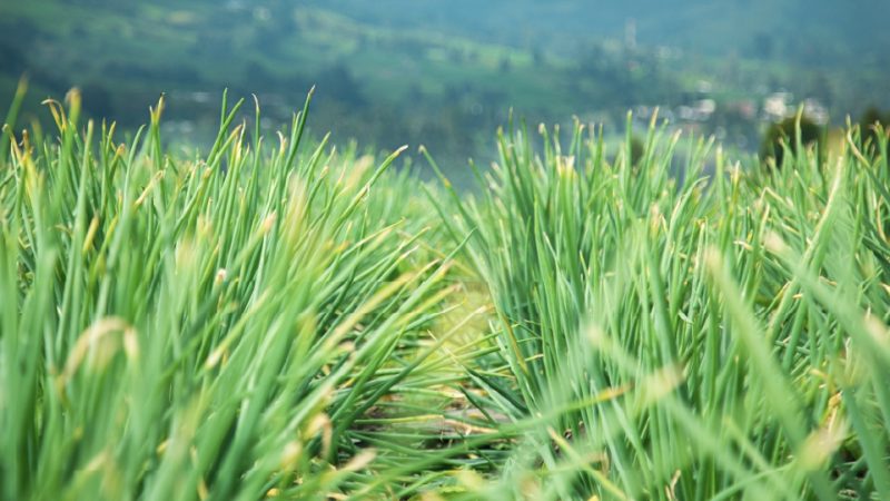 TESORITOMesa de trabajo 3 copia 5-100