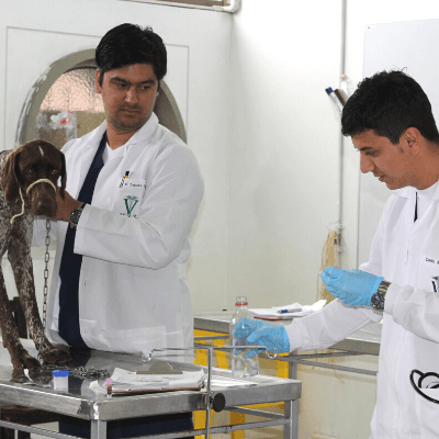Clínica-veterinaria-Universidad-de-Caldas