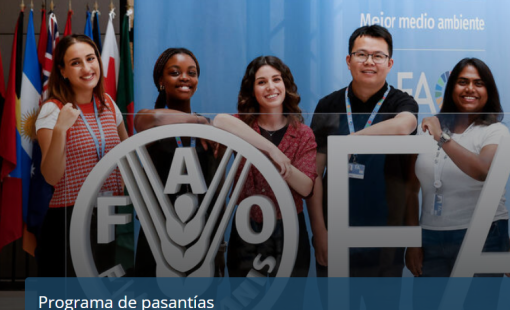 pasantia fao 26