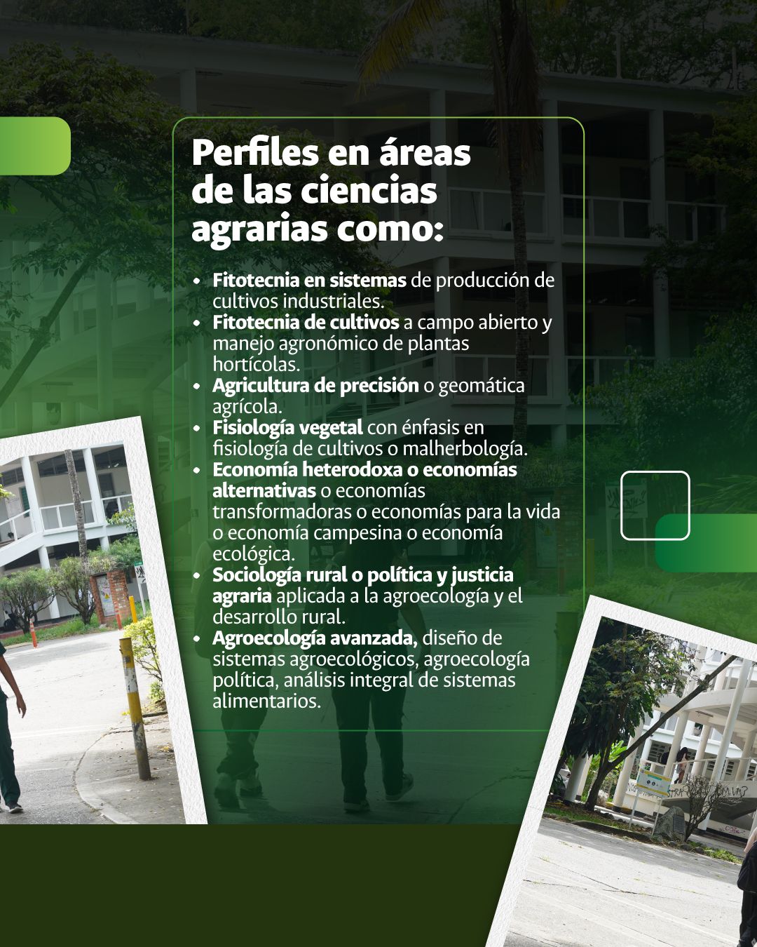concurso-docente-unalPal2
