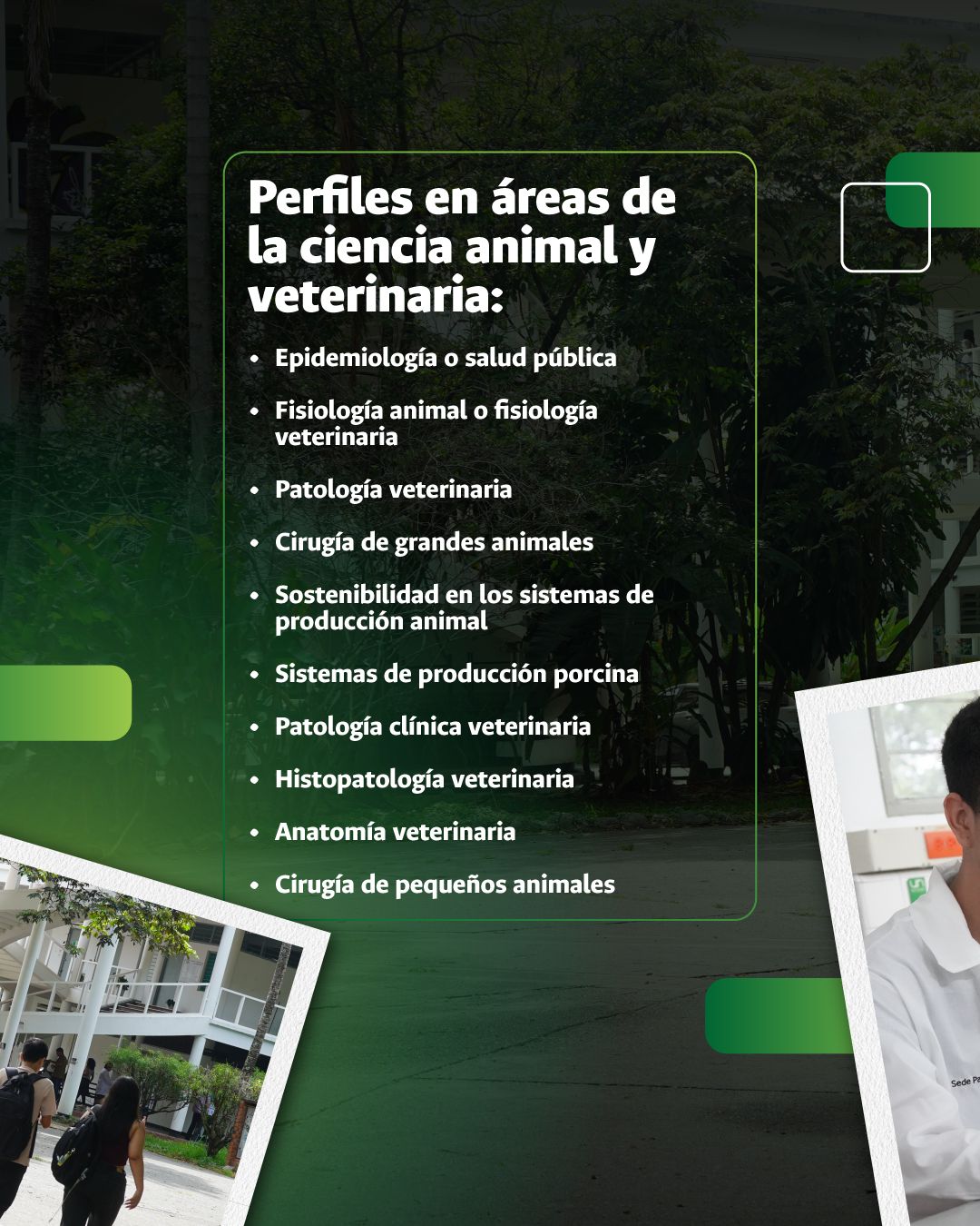 concurso-docente-unalPal3