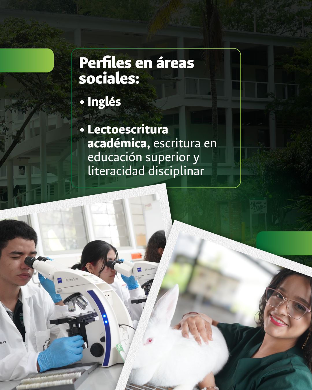 concurso-docente-unalPal4